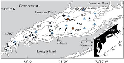 The Critical Role of Bioturbation for Particle Dynamics, Priming Potential, and Organic C Remineralization in Marine Sediments: Local and Basin Scales